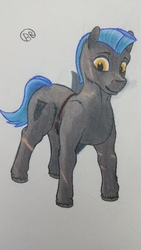 Size: 2988x5312 | Tagged: safe, artist:blastradiuss, oc, oc only, oc:resilient ward, ponyfinder, dungeons and dragons, fighter, pen and paper rpg, rpg, shield, shield fighter, solo, traditional art, unshorn fetlocks
