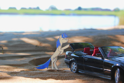 Size: 5184x3456 | Tagged: safe, artist:bumskuchen, oc, oc only, oc:shifting gear, beach, bmw, bmw 3-series, bmw e36, car, irl, newbie artist training grounds, photo, photography, solo, traditional art