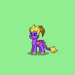 Size: 391x394 | Tagged: safe, dracony, dragon, hybrid, pony town, green background, no pupils, ponified, simple background, solo, spyro the dragon, spyro the dragon (series)