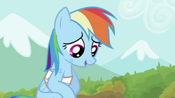 Size: 993x559 | Tagged: safe, screencap, rainbow dash, g4, may the best pet win, my little pony: friendship is magic, bandage, cute, female, solo