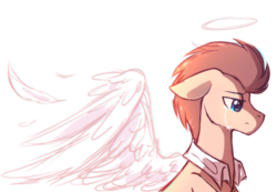 Size: 2403x1664 | Tagged: safe, artist:mirtash, doctor whooves, time turner, angel, earth pony, pony, rcf community, g4, angelic wings, crying, halo, male, sad, simple background, solo, white background, wings