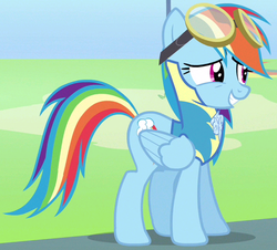 Size: 560x507 | Tagged: safe, screencap, rainbow dash, pegasus, pony, g4, wonderbolts academy, cropped, female, goggles, mare, outfit catalog, solo, wonderbolt trainee uniform