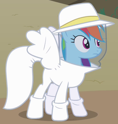 Size: 364x382 | Tagged: safe, screencap, rainbow dash, pony, castle mane-ia, g4, beekeeper, female, mare, outfit catalog, solo