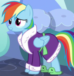 Size: 376x385 | Tagged: safe, screencap, rainbow dash, pegasus, pony, g4, tanks for the memories, bathrobe, clothes, cropped, female, mare, outfit catalog, robe, slippers, solo, tank slippers