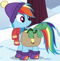 Size: 428x438 | Tagged: safe, screencap, rainbow dash, tank, pegasus, pony, tortoise, g4, tanks for the memories, clothes, cropped, duo, female, hat, mare, outfit catalog, saddle bag, scarf