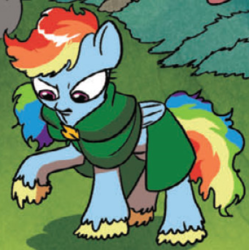 Size: 342x344 | Tagged: safe, idw, rainbow dash, pegasus, pony, g4, spoiler:comic, adventurer, cape, clothes, female, frodo baggins, hobbit, jewelry, lord of the rings, mare, outfit catalog, pendant, solo, unshorn fetlocks