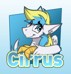 Size: 1680x1737 | Tagged: safe, artist:ralek, oc, oc only, oc:cirrus sky, hippogriff, original species, badge, con badge, gradient background, raised eyebrow, smiling, solo, talons, text