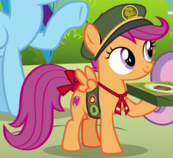 Size: 620x566 | Tagged: safe, screencap, rainbow dash, scootaloo, sweetie belle, pegasus, pony, 28 pranks later, g4, cute, cutealoo, cutie mark, female, filly guides, hat, hoof hold, mare, outfit catalog, smiling, solo focus, spread wings, the cmc's cutie marks, wings