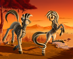 Size: 4895x3979 | Tagged: safe, artist:lightly-san, oc, oc only, oc:lika, oc:liki, zebra, cloud, female, looking at each other, savanna, scenery, sunset, tree