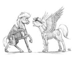 Size: 1400x1070 | Tagged: safe, artist:baron engel, thunderlane, oc, oc only, oc:black rain, oc:sky brush, pegasus, pony, angry, duo, goggles, grayscale, male, monochrome, nudity, pencil drawing, sheath, sketch, spread wings, stallion, story in the comments, story included, traditional art