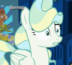 Size: 552x496 | Tagged: safe, screencap, vapor trail, pony, g4, top bolt, animated, female, gif, loop, shifty eyes, solo, sweat