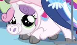 Size: 396x230 | Tagged: safe, sweetie belle, pony, unicorn, g4, one bad apple, animal costume, clothes, costume, cute, diasweetes, female, outfit catalog, pig costume, solo focus, weapons-grade cute