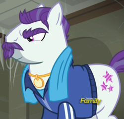 Size: 1049x1008 | Tagged: safe, screencap, mr. stripes, earth pony, pony, g4, the saddle row review, discovery family logo, male, solo, stallion