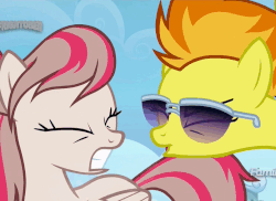 Size: 695x505 | Tagged: safe, screencap, angel wings, spitfire, pegasus, pony, g4, top bolt, animated, female, gif, loop, mare, sunglasses, this will end in deafness, yelling