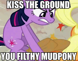 Size: 572x447 | Tagged: safe, edit, edited screencap, screencap, applejack, twilight sparkle, changeling, earth pony, pony, unicorn, a canterlot wedding, g4, angry, applejack's hat, caption, cowboy hat, cropped, disguised changeling, duo, female, fight, hat, image macro, mare, mud pony, out of character, pony racism, racism, stetson, text, twibitch sparkle, unicorn twilight