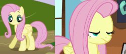 Size: 575x248 | Tagged: safe, edit, edited screencap, screencap, fluttershy, pegasus, pony, flutter brutter, friendship is magic, g4, adventure in the comments, animated, comparison, female, gif, mare