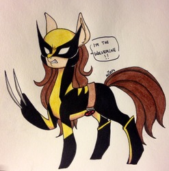 Size: 2268x2299 | Tagged: safe, artist:ameliacostanza, earth pony, pony, anti-hero, anti-heroine, belt, bone spike projection, boots, claws, clothes, costume, crossover, fangs, high res, laura kinney, marvel, ponified, shoes, solo, traditional art, wolverine, x-23, x-men