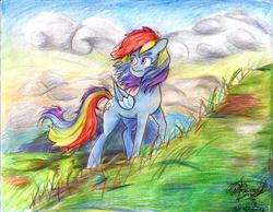 Size: 3286x2550 | Tagged: safe, artist:mannybcadavera, rainbow dash, g4, female, high res, scenery, solo, traditional art, windswept mane