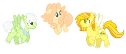 Size: 1024x437 | Tagged: safe, artist:silverknight27, oc, oc only, oc:cozy feathers, oc:dandelion meadow, oc:sunberry picking, cutie mark, simple background, transparent background, vector