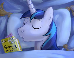 Size: 1100x863 | Tagged: safe, artist:1trick, part of a set, shining armor, g4, 1trickpone's sleeping ponies, book, eyes closed, male, part of a series, sleeping, solo