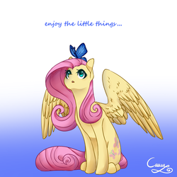 Size: 1500x1500 | Tagged: safe, artist:sugarponypie, fluttershy, butterfly, pegasus, pony, g4, female, gradient background, looking up, sitting, solo, spread wings