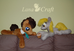 Size: 1825x1256 | Tagged: safe, artist:lanacraft, derpy hooves, doctor whooves, time turner, pegasus, pony, g4, female, irl, mare, photo, plushie