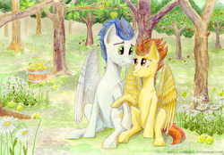 Size: 3508x2445 | Tagged: safe, artist:sanya-mosaica, soarin', spitfire, pony, g4, apple, apple tree, bucket, flower, food, forest, high res, male, ship:soarinfire, shipping, sitting, straight, traditional art