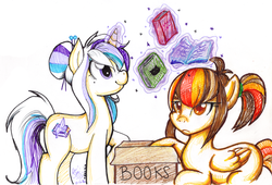 Size: 900x612 | Tagged: safe, artist:amisunshine, oc, oc only, oc:autumn topaz, oc:pastel tanzanite, pony, unicorn, book, box, magic, traditional art