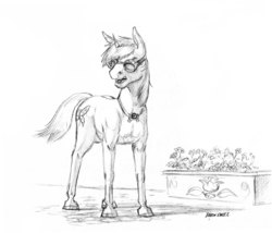 Size: 1400x1196 | Tagged: safe, artist:baron engel, oc, oc only, pony, unicorn, flower, goggles, male, monochrome, pencil drawing, sketch, solo, stallion, traditional art