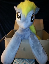 Size: 708x926 | Tagged: artist needed, safe, derpy hooves, pegasus, pony, g4, box, female, irl, looking at you, mare, photo, plushie, pony in a box, solo