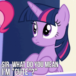 Size: 501x501 | Tagged: safe, edit, edited screencap, screencap, pinkie pie, twilight sparkle, alicorn, pony, g4, season 5, the one where pinkie pie knows, animated, blinking, caption, cute, female, gif, i'm not cute, image macro, meme, offscreen character, solo focus, text, twiabetes, twilight sparkle (alicorn)