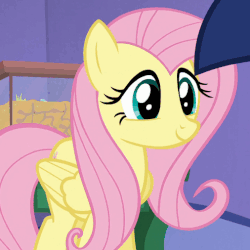 Size: 506x506 | Tagged: safe, screencap, fluttershy, twilight sparkle, alicorn, pony, the one where pinkie pie knows, animated, blinking, cute, female, gif, shyabetes, solo focus, twilight sparkle (alicorn)