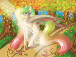 Size: 1024x768 | Tagged: safe, artist:acespade777, oc, oc only, alicorn, pony, alicorn oc, autumn, beautiful, colored, digital art, female, mare, solo