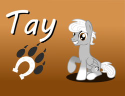 Size: 3968x3034 | Tagged: safe, artist:tay-houby, oc, oc only, oc:tay, pegasus, pony, cutie mark, high res, hooves, paws, solo