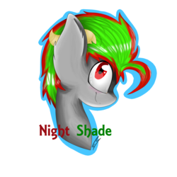 Size: 1024x1024 | Tagged: safe, artist:feathershine1, oc, oc only, oc:night shade, bust, portrait, solo