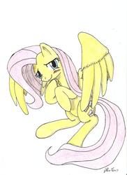 Size: 1700x2338 | Tagged: safe, artist:stardustchild01, fluttershy, pony, g4, bipedal, blushing, cute, female, looking at you, shyabetes, simple background, solo, spread wings, traditional art, white background