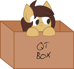 Size: 4102x3815 | Tagged: safe, artist:plone, oc, oc only, oc:lockie, pony, :<, box, cardboard box, cute, female, leaning, mare, pony in a box, qt, simple background, solo, transparent background, wide eyes