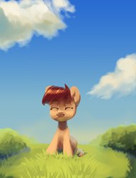 Size: 1028x1337 | Tagged: safe, artist:hunternif, oc, oc only, eyes closed, grass, sitting, smiling, solo