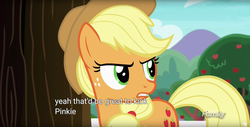 Size: 1920x975 | Tagged: safe, screencap, applejack, earth pony, pony, g4, ppov, applejerk, female, implied pinkiebuse, meme, out of character, solo, youtube caption