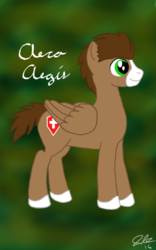 Size: 800x1280 | Tagged: safe, artist:aeroaegis, oc, oc only, oc:aero aegis, pegasus, pony, digital art, male, signature, solo, stallion