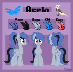 Size: 2241x2216 | Tagged: safe, artist:kellythedrawinguni, oc, oc only, oc:acela, bird, cockatiel, pegasus, pony, high res, reference sheet