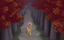 Size: 1280x800 | Tagged: safe, artist:chef j, fluttershy, g4, autumn, female, folded wings, forest, looking up, raised hoof, solo, walking