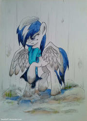 Size: 1698x2376 | Tagged: safe, artist:sweeterwho, oc, oc only, oc:moonlight flare, pegasus, pony, angry, rain, snow, solo, spring, traditional art