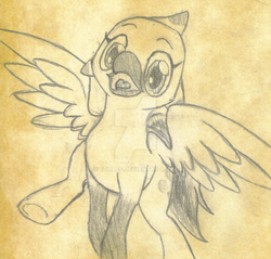 Size: 1024x977 | Tagged: safe, artist:ethaes, oc, oc only, oc:sulphur nimbus, classical hippogriff, hippogriff, cute, happy, pencil drawing, sketch, solo, sulphur nimbus, traditional art