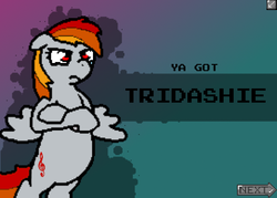 Size: 554x396 | Tagged: safe, oc, oc only, oc:tridashie, pegasus, pony, banned from equestria daily, angry, female, photoshop, recolor, solo, splash art, unamused, ya got