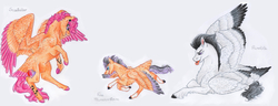Size: 8368x3200 | Tagged: safe, artist:dawn22eagle, rumble, scootaloo, oc, oc:fire thunderstorm, pegasus, pony, g4, adult, coat markings, colored hooves, colored wings, colored wingtips, cutie mark, ear piercing, family, female, filly, male, next generation, offspring, parent:rumble, parent:scootaloo, parents:rumbloo, piercing, realistic horse legs, rearing, ship:rumbloo, shipping, socks (coat markings), spread wings, straight, tail feathers, the cmc's cutie marks, tongue piercing, traditional art, wings