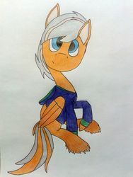 Size: 1920x2560 | Tagged: safe, artist:enter24, oc, oc only, oc:steel wing, pegasus, pony, clothes, folded wings, hoodie, looking at you, raised hoof, simple background, sitting, solo, unshorn fetlocks, white background