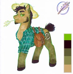 Size: 2016x2048 | Tagged: safe, artist:somepony-ul, oc, oc only, earth pony, pony, handsome, high res, male, reference sheet, solo, stallion