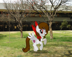 Size: 2521x2005 | Tagged: safe, artist:rsa.fim, oc, oc only, oc:whisper hope, pegasus, pony, backyard, bow, high res, instituto politécnico nacional, ipn, irl, mexican, mexico, photo, ponies in real life, school, solo, tree, unitárium, upiicsa