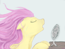 Size: 1280x960 | Tagged: safe, artist:causticeichor, fluttershy, g4, bust, eyes closed, fan, female, hot, open mouth, solo, summer, windswept mane